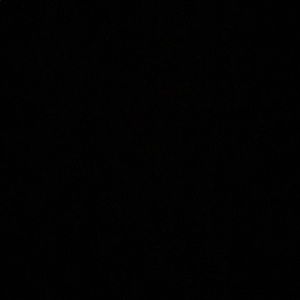 Meet your Posher, Delaney